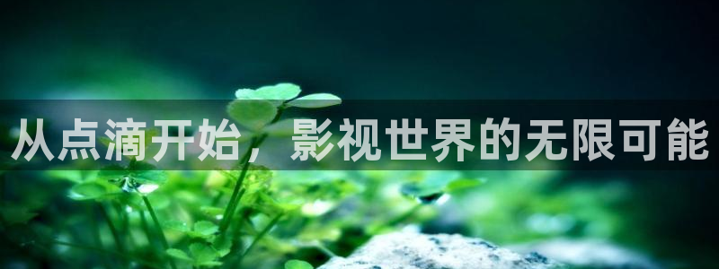 人人免费干视频